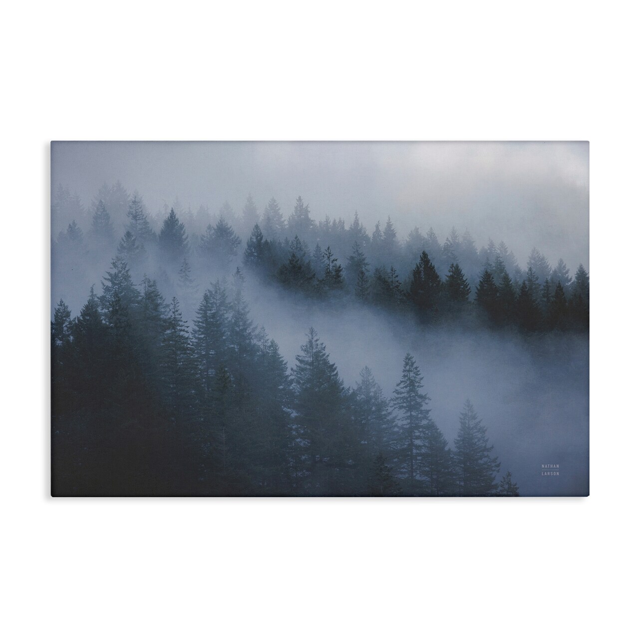 Stupell Industries Fog Filled Trees Landscape Canvas Wall Art Design by Nathan Larson